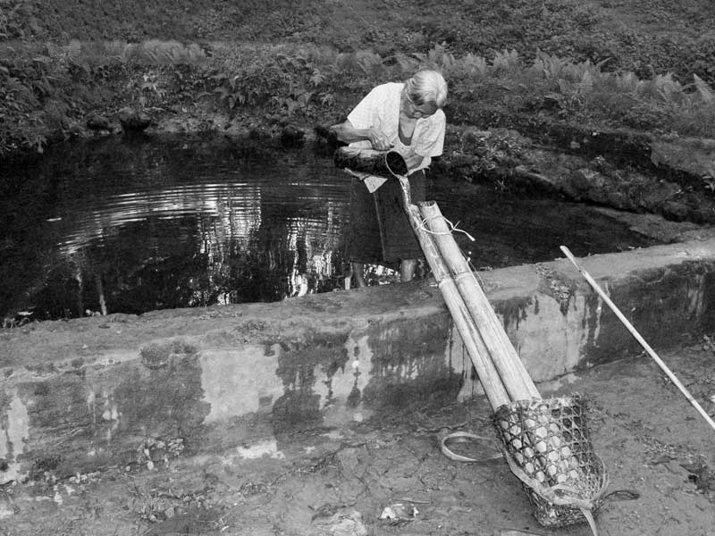 Traditional water supply science and technology of India - Water being fetched by an old Ao tribal woman from a small tank that collects spring water at the base of a hill in Mokokchung district, Nagaland